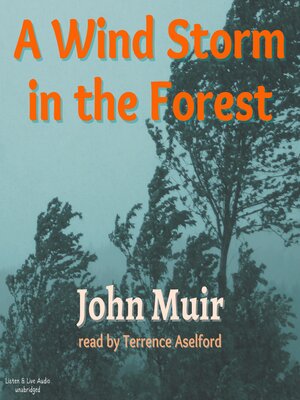 cover image of A Wind Storm in the Forest